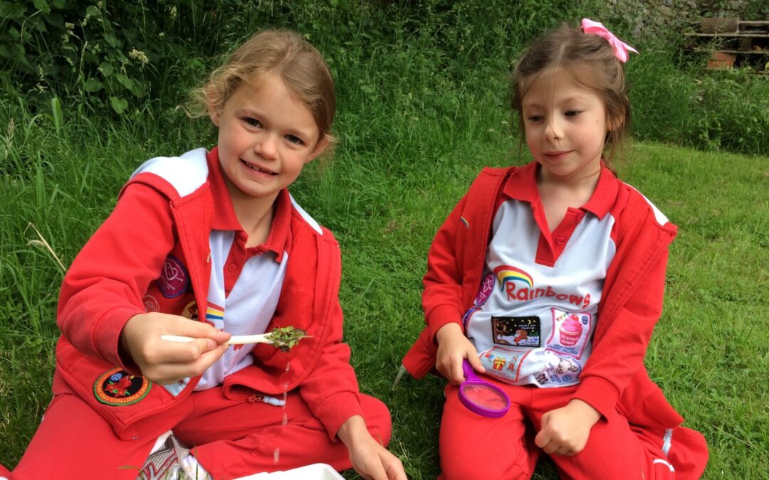 Rainbow Helper – Effingham